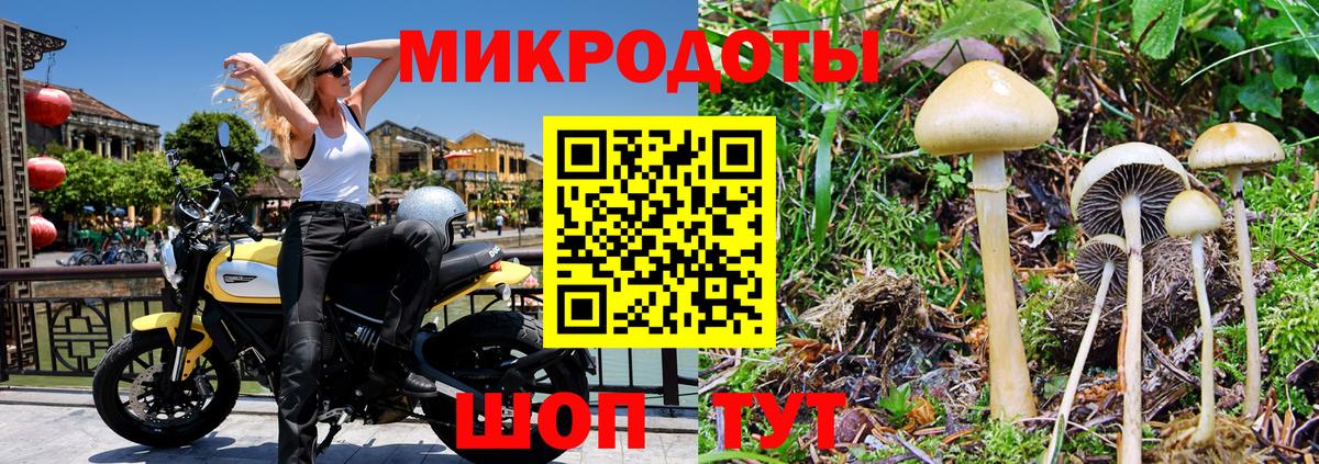Галлюциногенные грибы мухоморы  закладки  Похвистнево  Вход с VPN 