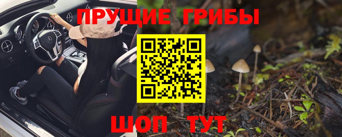 Псилоцибиновые грибы Magic Shrooms Похвистнево